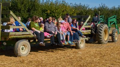 Beasley's Orchard in Danville, IN