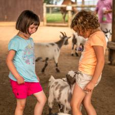 lake-tobias-petting-zoo