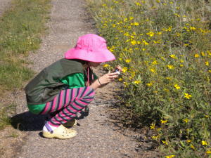 Making Memories: Kids' Photojournaling in Rocky Mountain National Park - Image