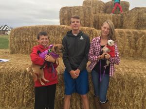 Dog Daze at the Maze.