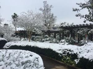 botanical gardens (snow)
