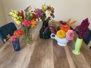 Paulus Farm Market U-Pick Flowers