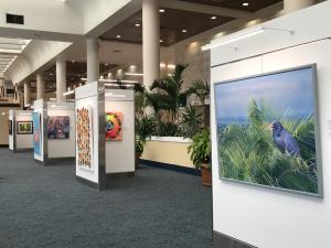 Gallery at PBI