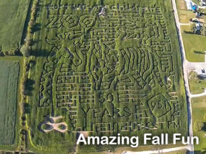 Amazing Fall Fun