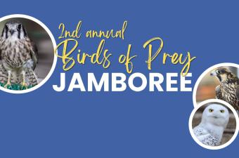 2nd Annual Birds of Prey Jamboree