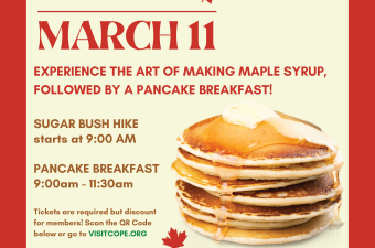 Family Maple Syrup Day