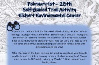 Kids' Winter Birding Scavenger Hunt