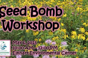 Seed Bomb Workshop