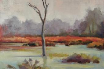 Chesterton Art Center Presents an Exhibit with Indiana Dunes National Park