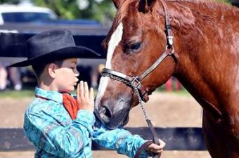 Madison County 4-H Fair