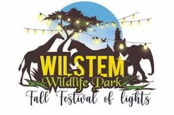 Wilstem Fall Festival of Lights