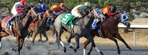Turfway Park - purchased from Dave Dutill