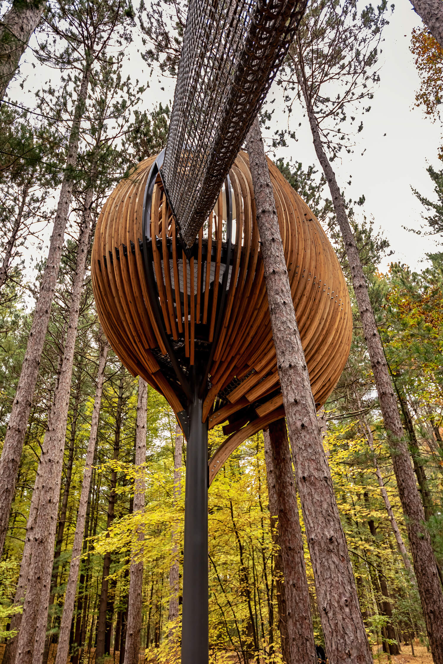 See Fall Color From A Whole New Angle At These Unique Autumn