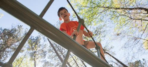 Boy Climbing Nature Center