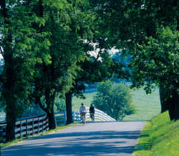 Outdoor Activities In Lexington Ky S Bluegrass Region