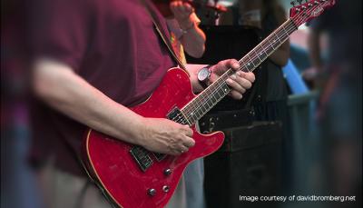 David Bromberg Guitar