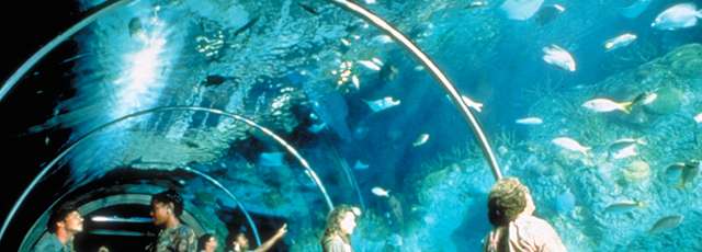 audubon aquarium coupons