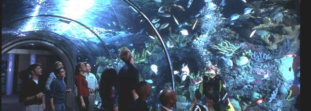 audubon aquarium coupons