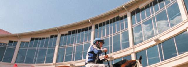 Fairgrounds Fairgrounds