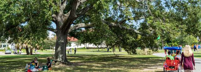 City Park Bike Rentals Coupon - Riding A Bicycle In Central Park Get ...