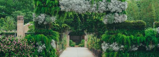 New Orleans Botanical Garden