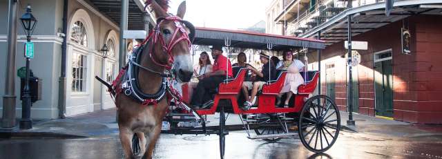 royal carriage tours