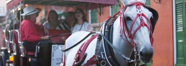 history and haunts carriage tour