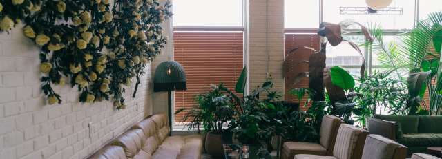 The Drifter Hotel