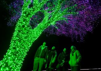 Zoolights at Point Defiance Zoo and Aquarium