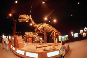 Delaware Museum of Natural History - Dino