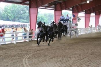 Impressive showmanship and entertainment at the Hendricks County 4-H Fair