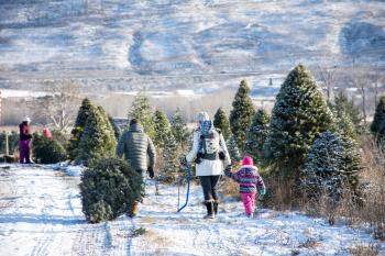 Holiday Traditions In Kamloops