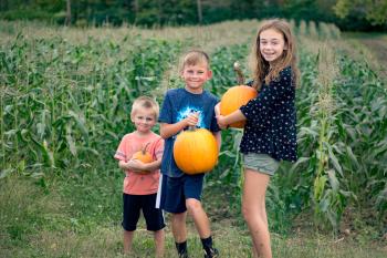 Pumpkin Picking at Beasley's Orchard in Danville, Indiana