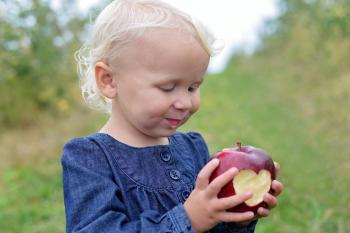Toddler Eating Apple