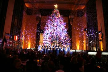 Holiday Tree at Durham