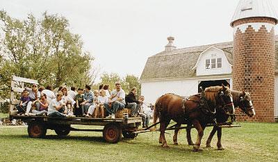 Buckley Homestead horses in Lowell, IN