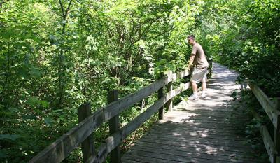 Gibson Woods Nature Preserve