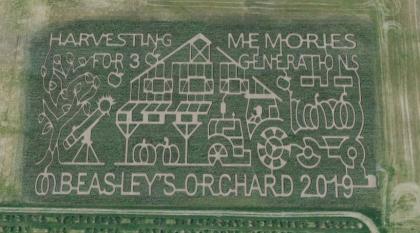 The 2019 Corn Maze at Beasley's Orchard