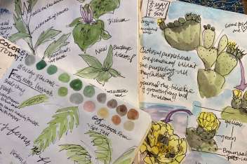 Nature Journaling: Edible Flowers