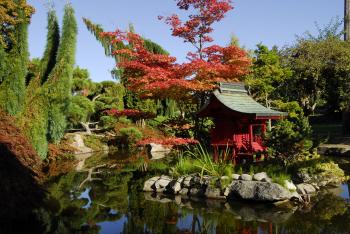 Point Defiance Park Japanese Gardens