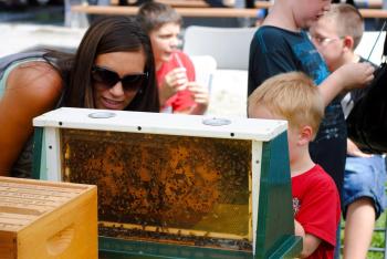 Celebrate pollinators at the annual McCloud Honeybee Fest every August.