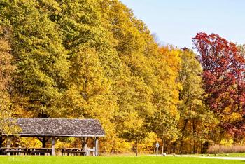 My home away from home, McCloud Nature Park is hands-down my favorite place in Hendricks County to see fall color.