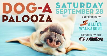 dog a palooza promotional graphic florence ky