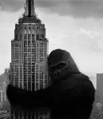 Kong Hearts NY