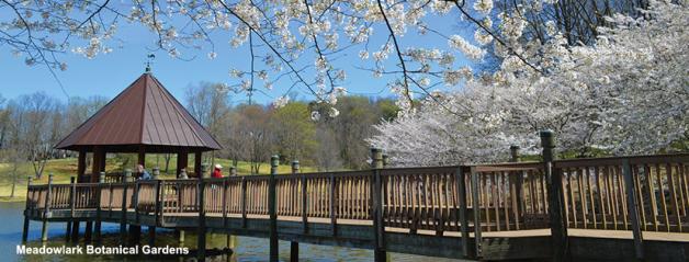 National Cherry Blossom Festival - Meadowlark Gardens - Spring