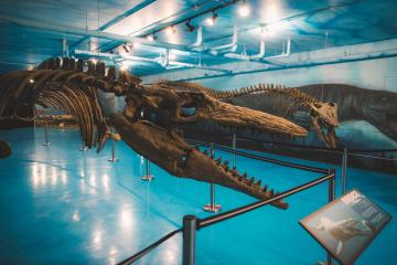 Find Manitoba S Special Destinations Star Attractions Travel Manitoba