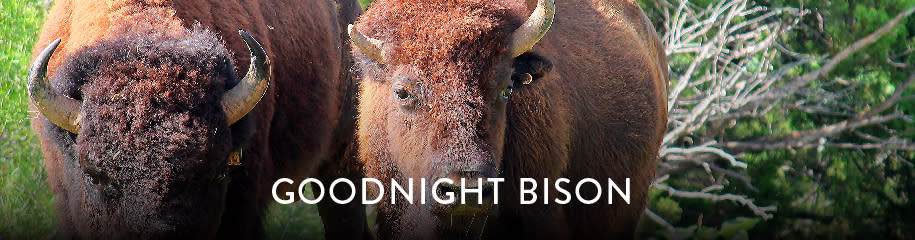 Weekend Getaway Goodnight Bison