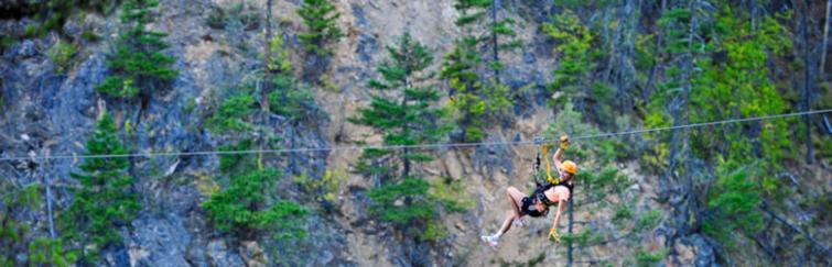 Zip Zone Adventure