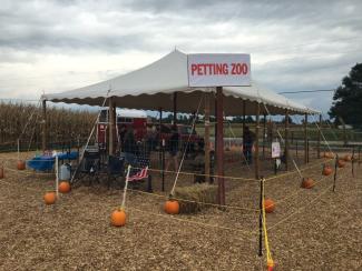 The whole family will enjoy the petting zoo at Hogan Farms.