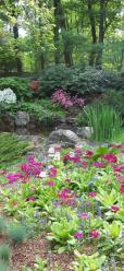 Rocky Hills, Chappaqua